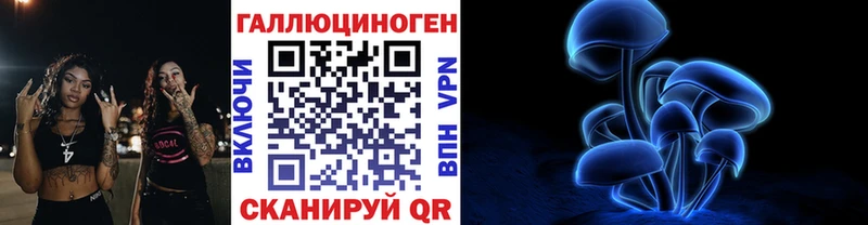 купить наркотики цена  Южно-Сахалинск  блэк спрут   shop состав  Псилоцибиновые грибы мицелий 